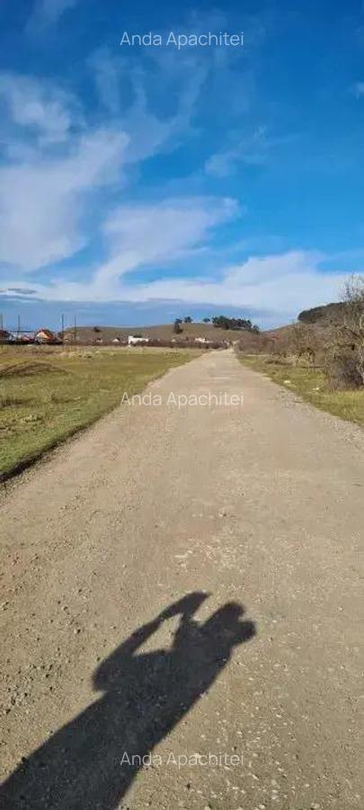 Teren 400 mp Sanpetru - 3