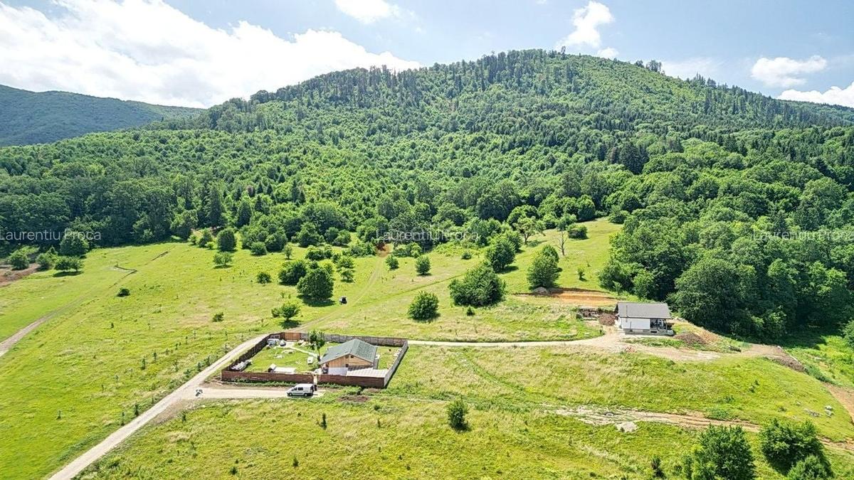 Teren Construcții intravilan de 5500 mp, în Cristian - 23