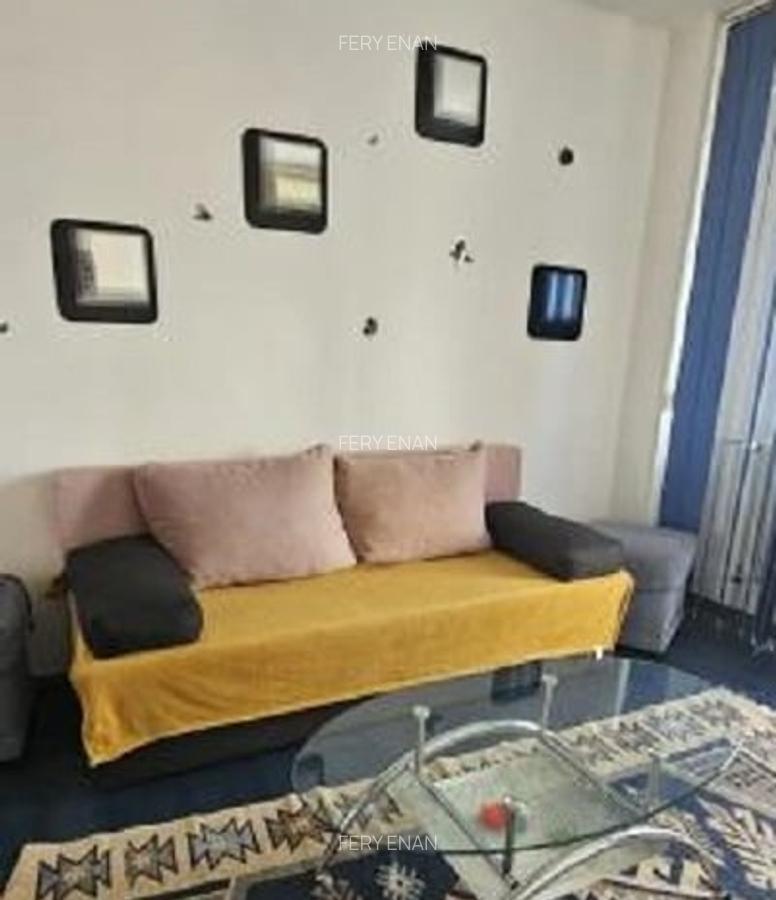 Tei-Domino, Apartament 2 camere - 3