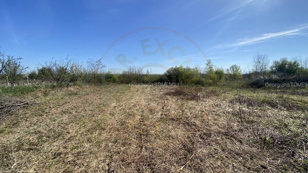 Teren 2000 mp intravilan Smeura-Mosoaia. Comision 0% - 2