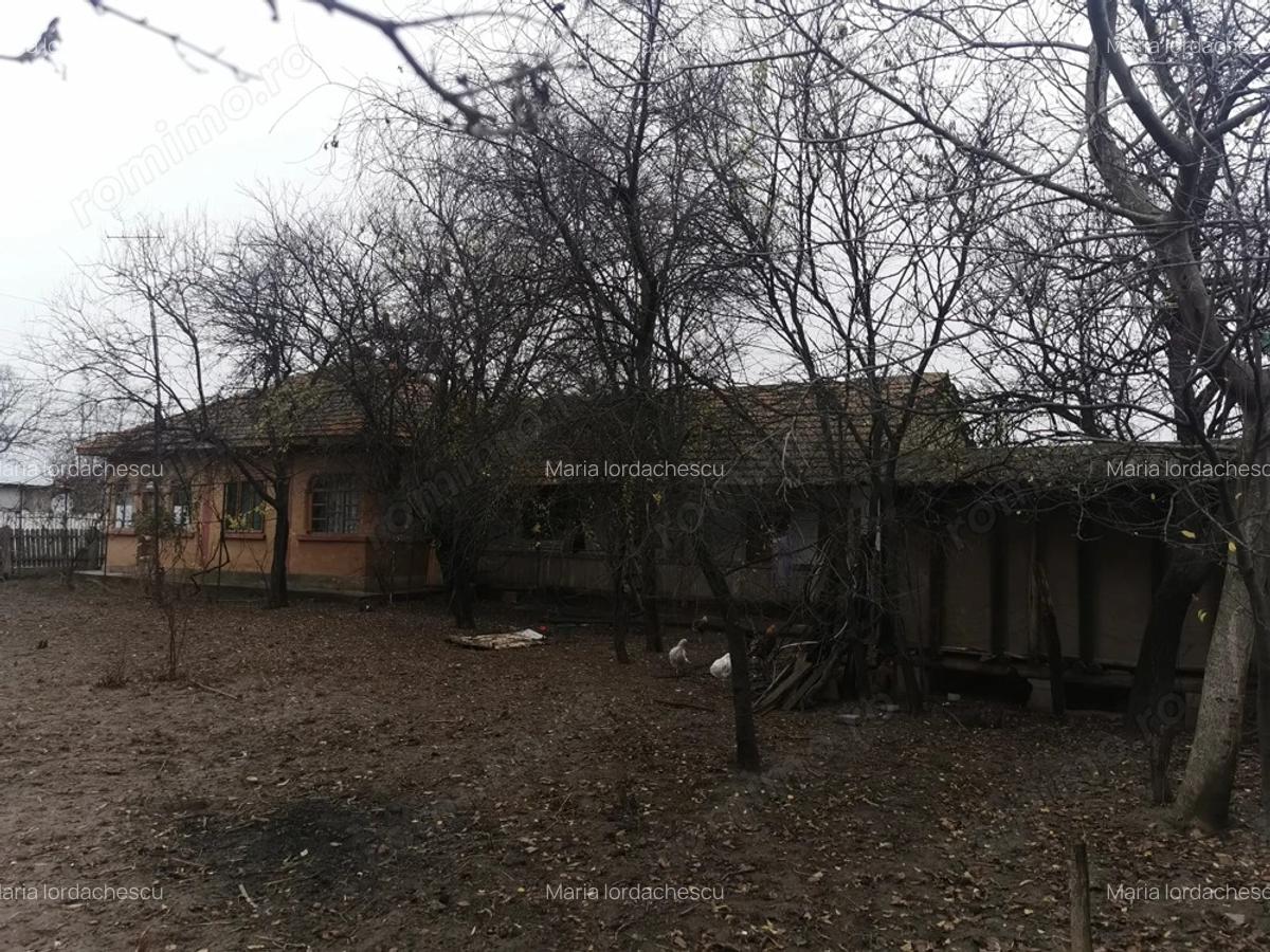 Vand casa + teren 1000 mp2 in Comuna Gradi?tea , jud. Calara?i - 2