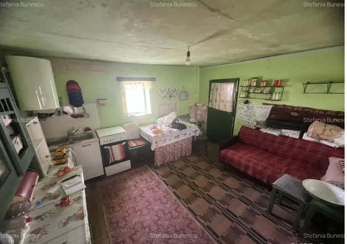 Casa individuala de vanzare | 100 mp utili | teren 2300 mp - sat Rusi - 3