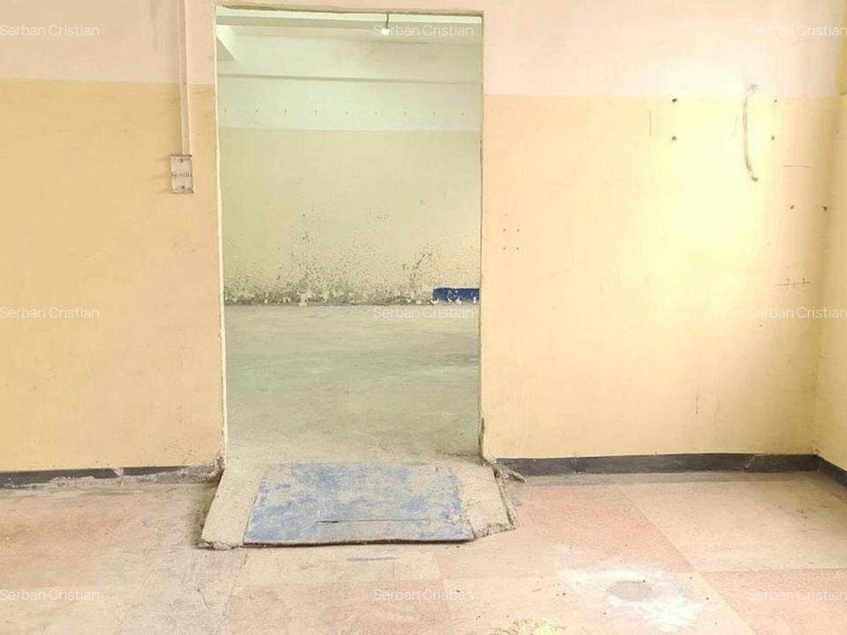 Drumul Intre Tarlale spatiu productie 1350 mp - 8