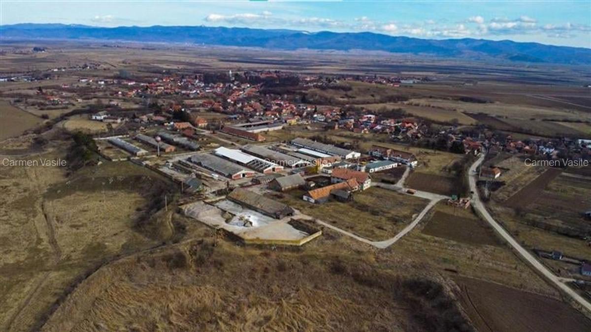 FILM! Complex agrozootehnic cu traditie, echipat + pretios potential multiplu, C - 41