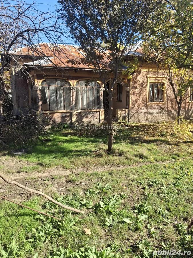 Vand casa in comuna Branceni - 5