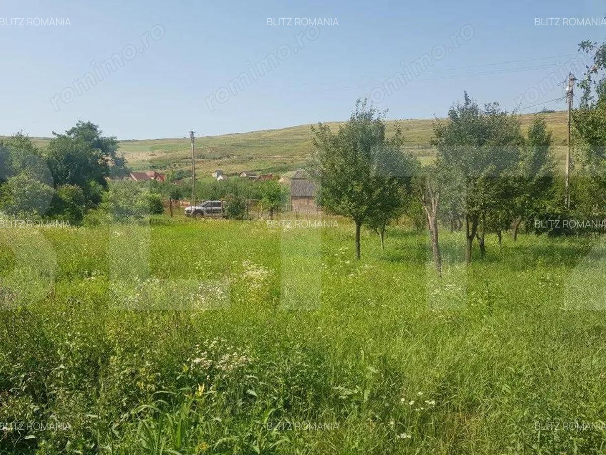 Teren intravilan Campenesti, 11600 mp, 43 ml front, pentru ansamblu de case! - 1