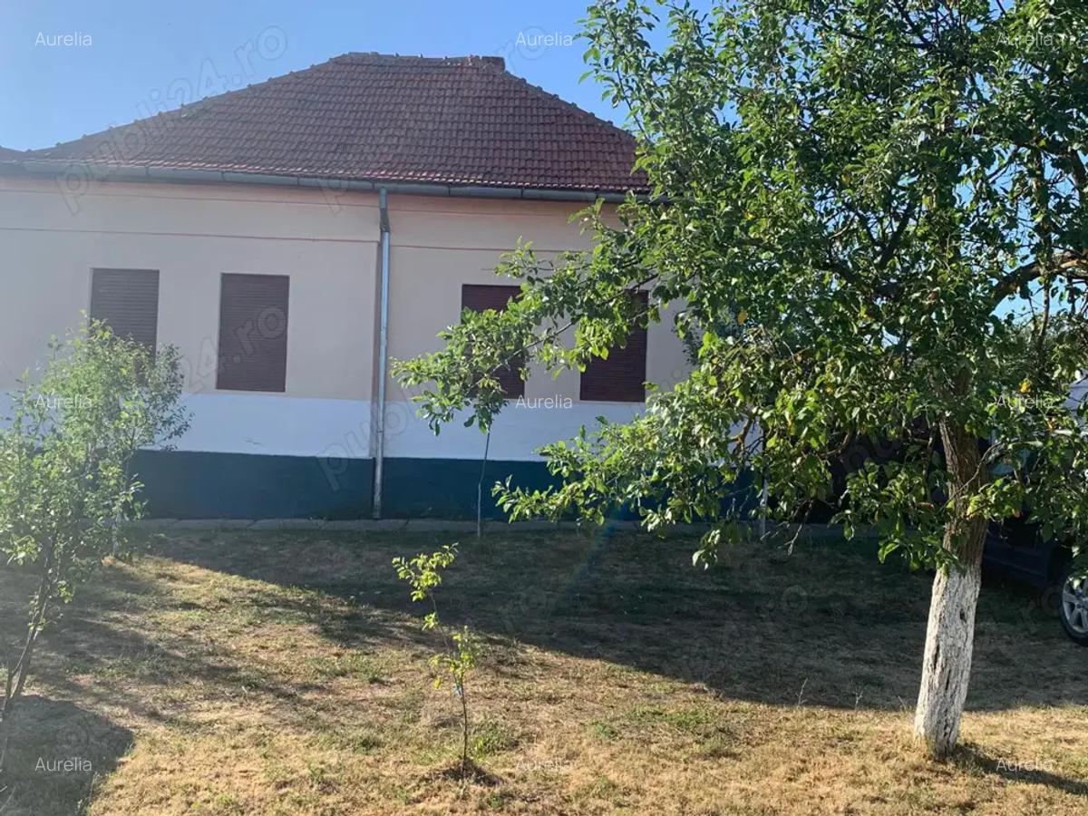 Casa cu gradina de vanzare, Ma?loc, Timi? - 1