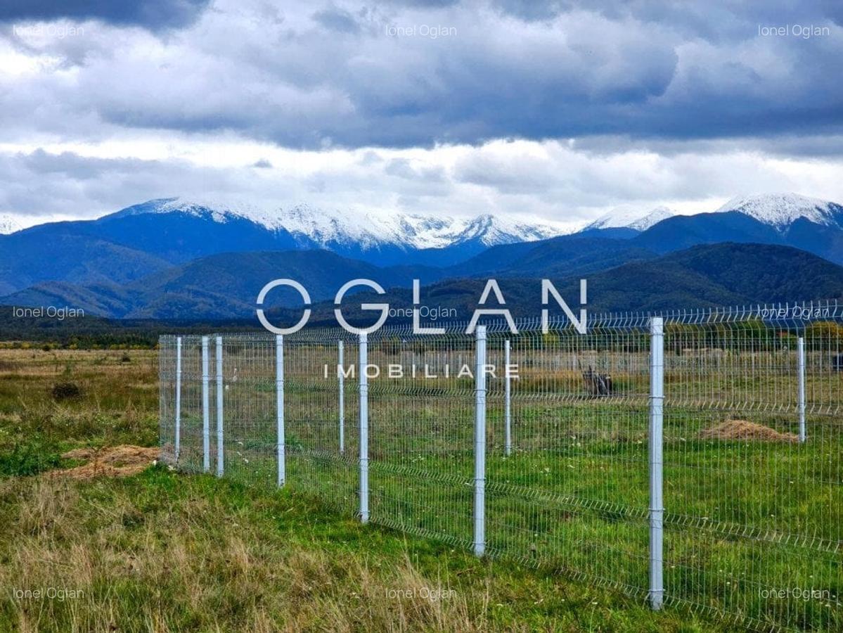 SUPER PRET! Teren 2400 mp Valea Avrigului SIBIU - 4