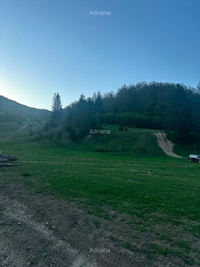 Teren intravilan în Marginea - 6