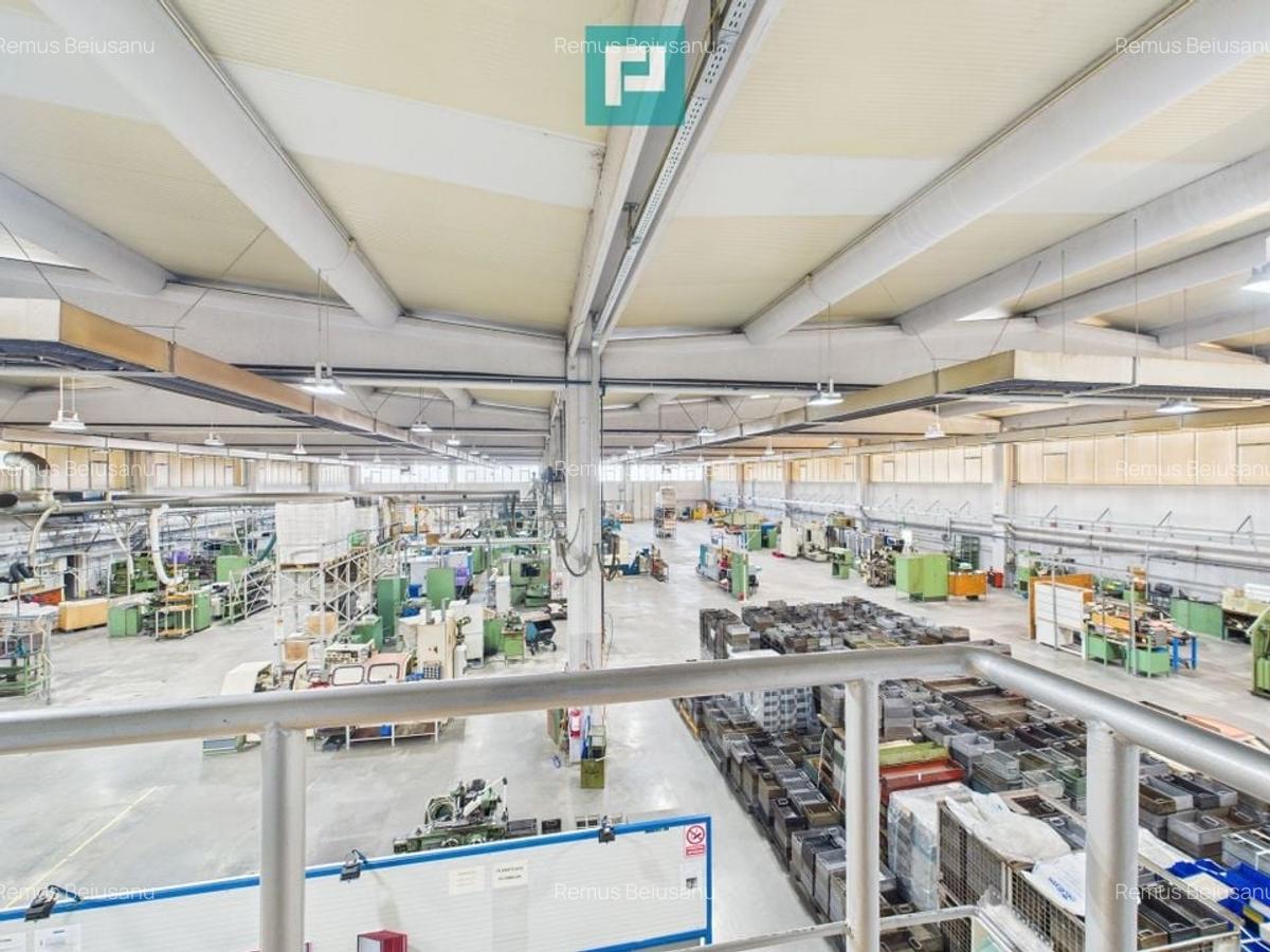 Hală industrială modernă, Șagului - 5