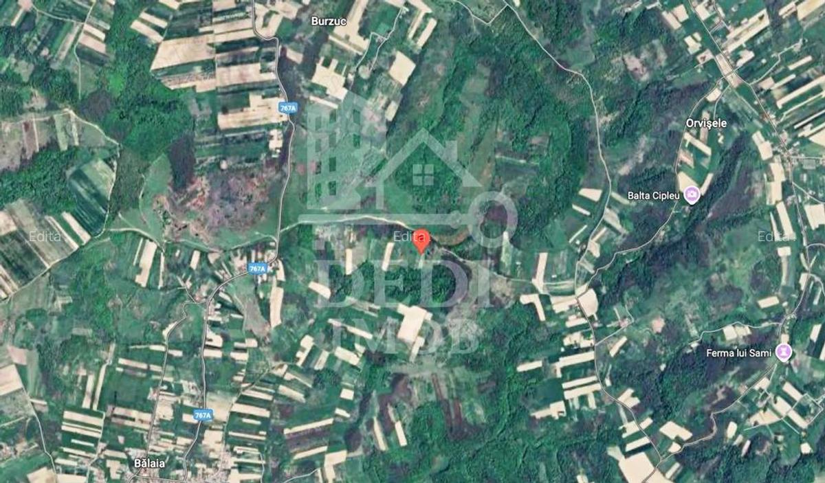 Teren 1 EURO/mp de vanzare in Tileagd-Balaia, Bihor - 3