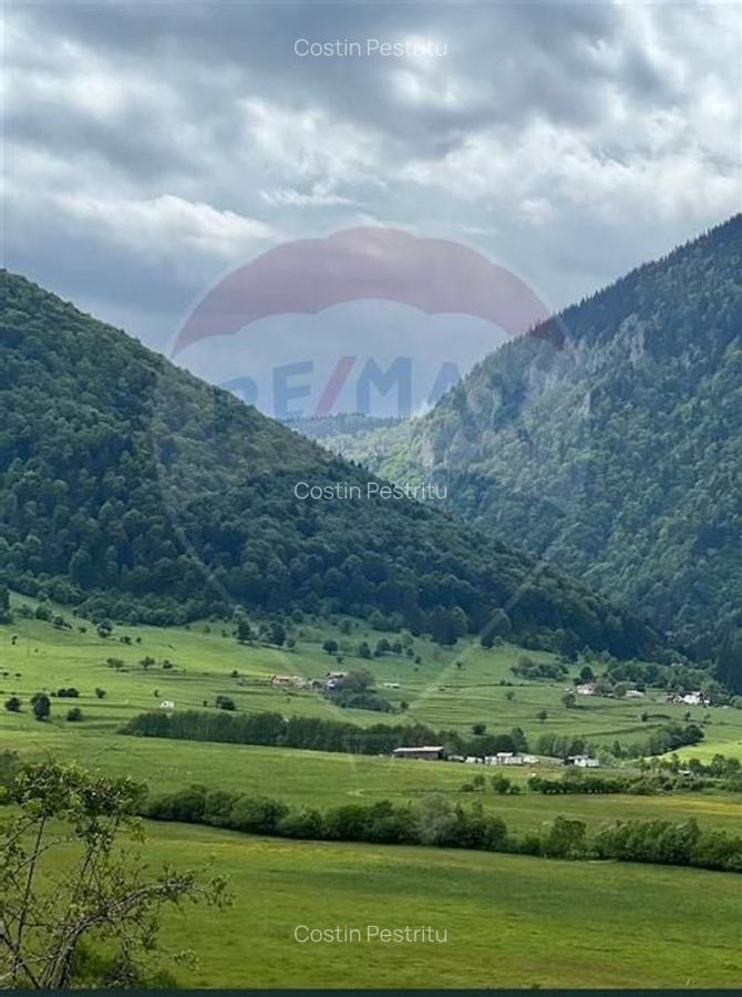 Teren 4,145mp Predelut / Strada Magurii - 2