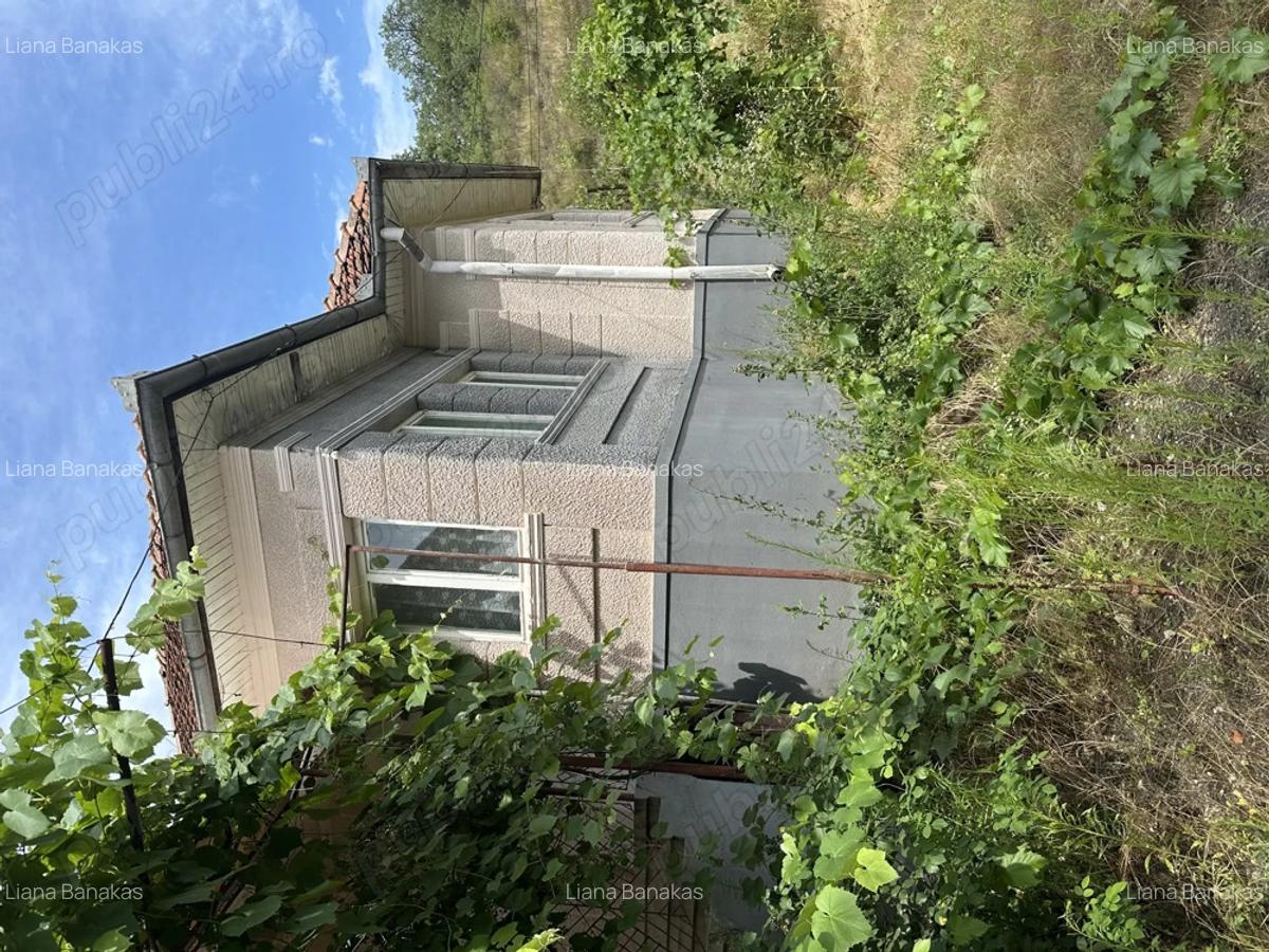 Vand casa taraneasca renovata partial cu 8000 mp gradina - 5