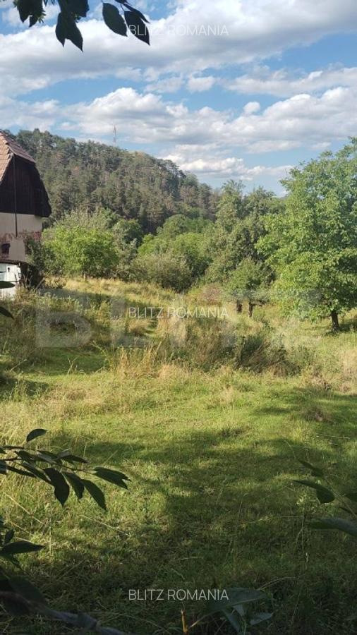 Casa la tara de vanzare, teren de 6000 mp - Cacova Ierii, Comuna Iara, Cluj - 10