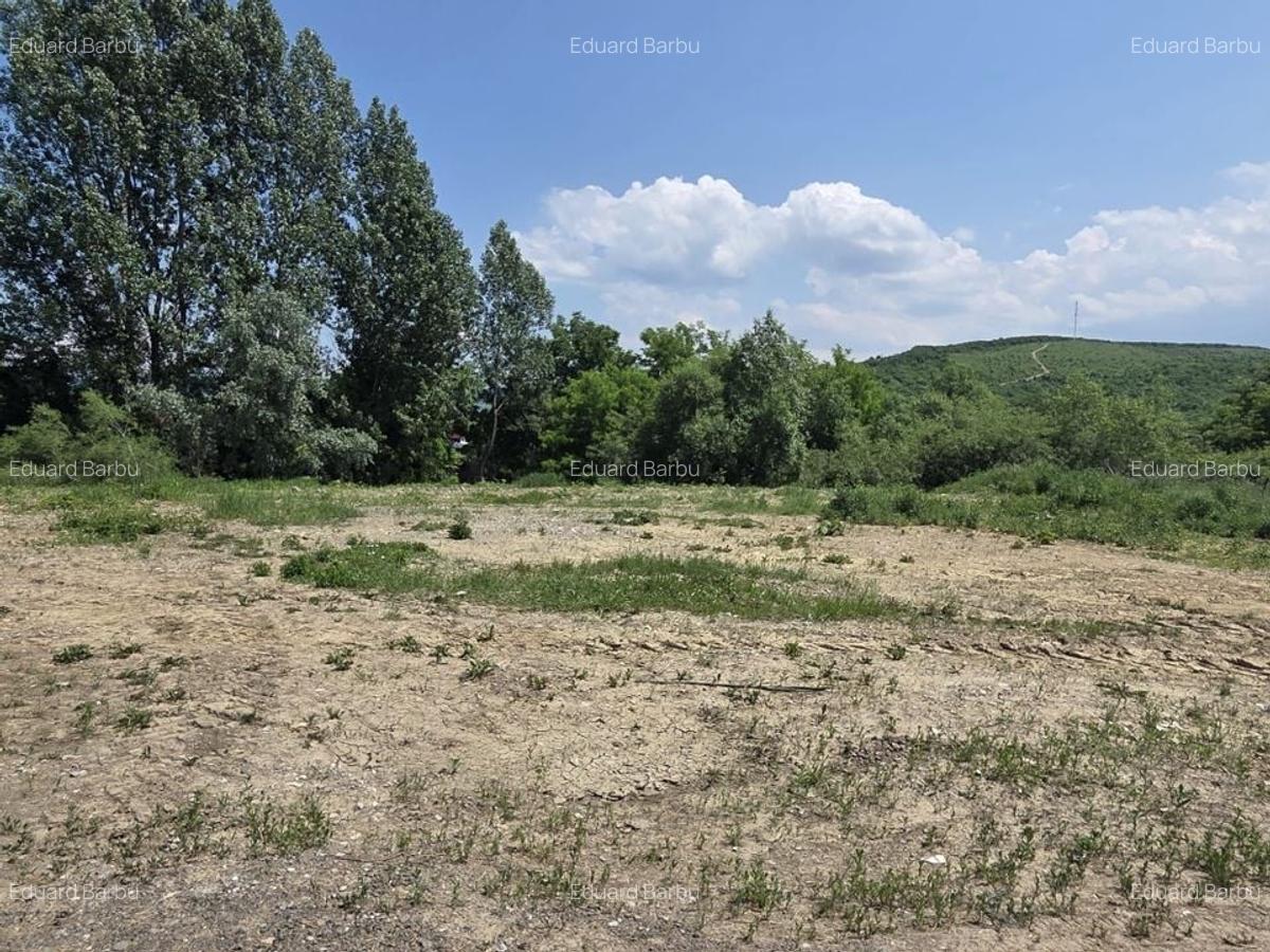 Teren de vânzare - 1.000 mp - Tărlungeni, zonă în dezvoltare - 3