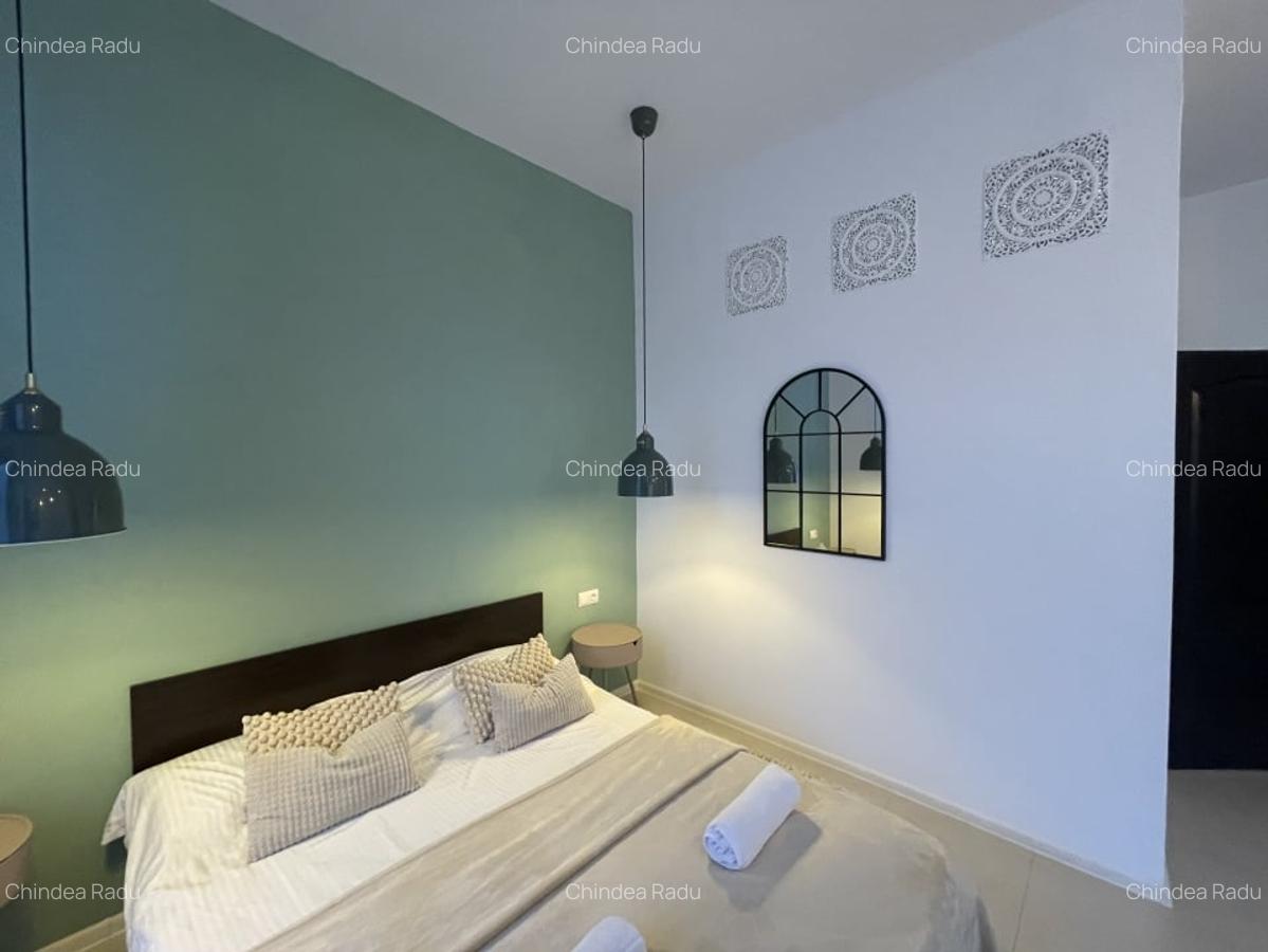 Apartament istoric in Piata Iosefin Amenajat pentru Booking/AirBnb - 3