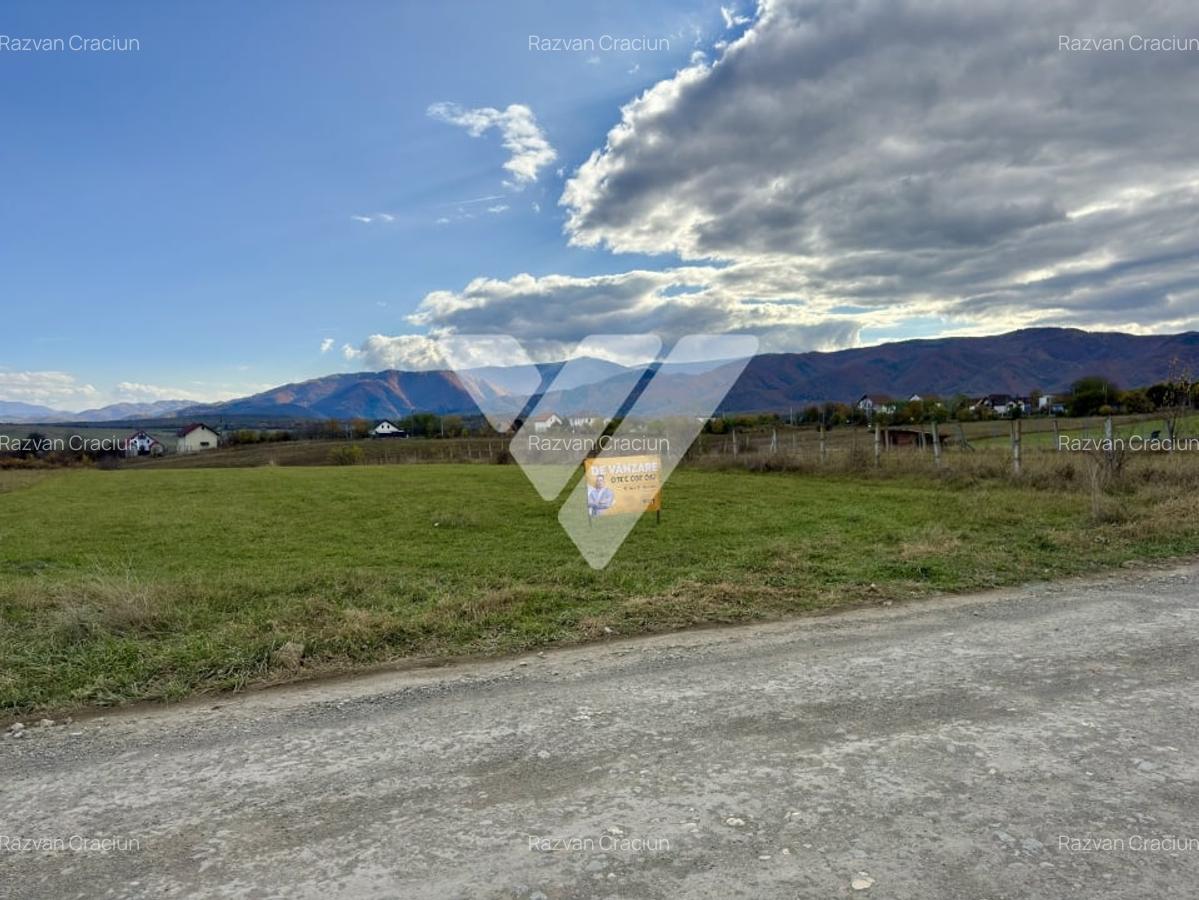 Teren intravilan superb 1200 mp de vanzare in Calea Cisnadiei Sibiu - 1
