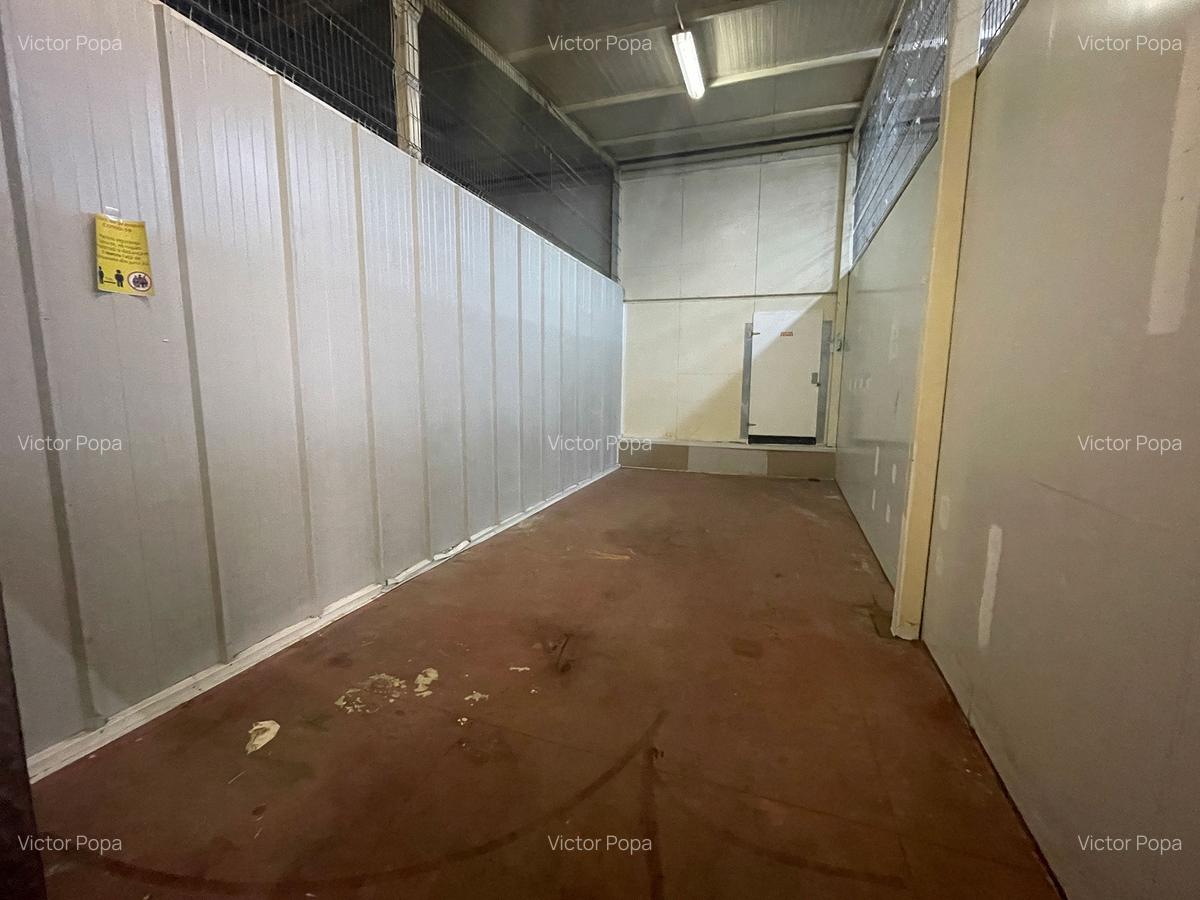 Spatii de depozitare 25 - 60 mp: produse BACANIE - Norme DSV - 6