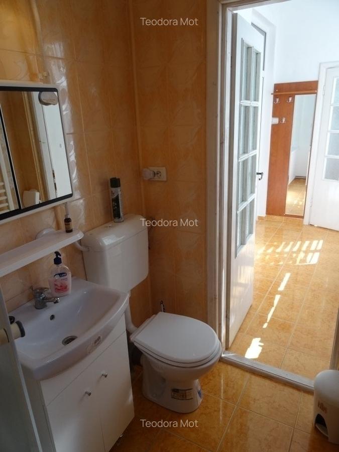 Apartament cu 2 camere semidecomandat, mobilat în Iosefin - 9