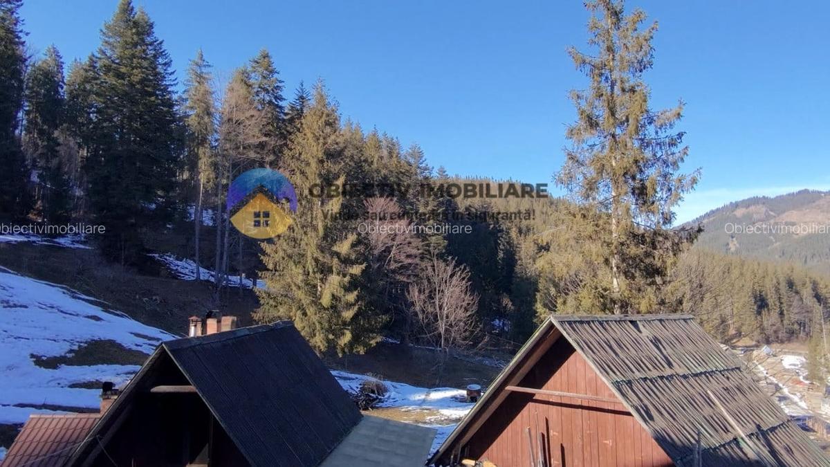 Refugiu Natural: Casa si Teren Inconjurat de Padure ! - 15