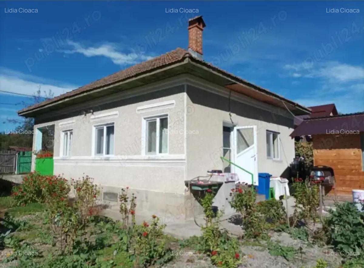 Casa Pausesti Madlasi - 2