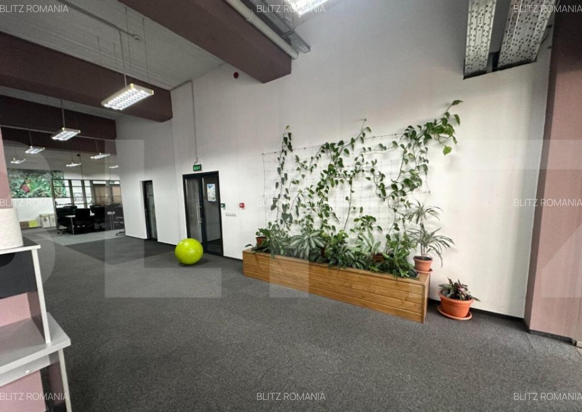 Spatiu birouri/comercial, 830 - 3000 mp, cladire de sticla, - 16