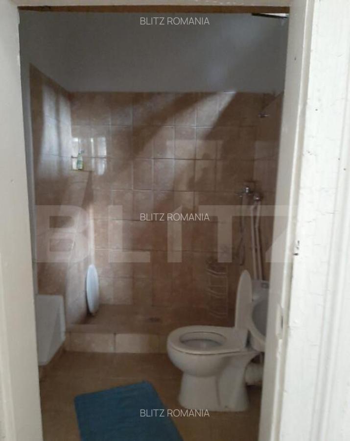 Apartament de inchiriat, 2 camere, 65 mp, zona Iosefin - 4