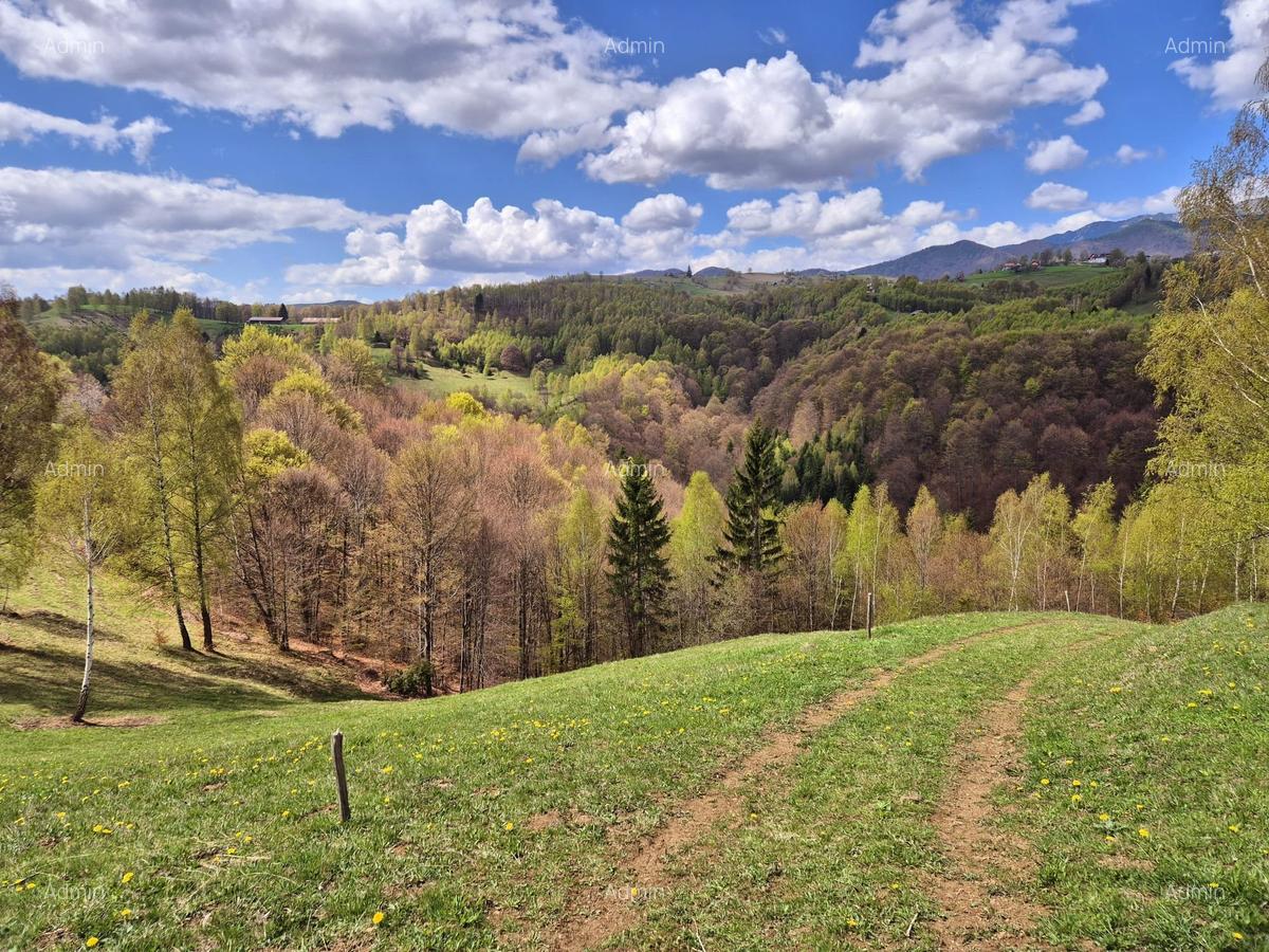 Teren de poveste, intru un sat de poveste Pestera/Moeciu/Brasov - 6