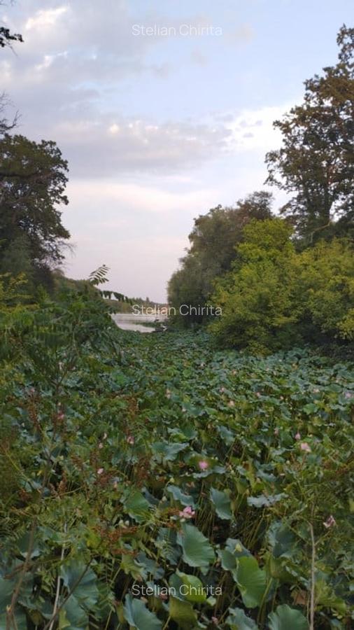 SUPER  OCAZIE TEREN 4000MP DE VANZARE IN SNAGOV CU DESCHIDERE LA LACUL SNAGOV - 8