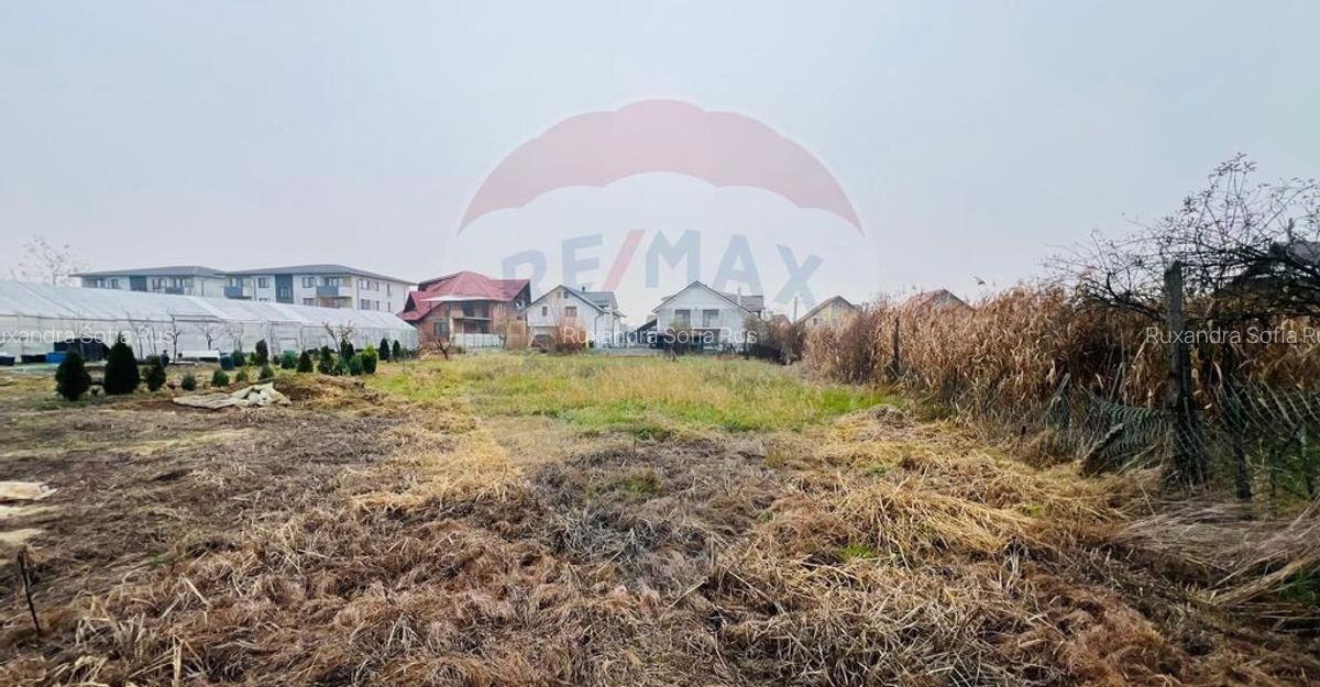 Teren Baia Mare strada Victoriei - 1 Teren Baia Mare strada Victoriei - 1