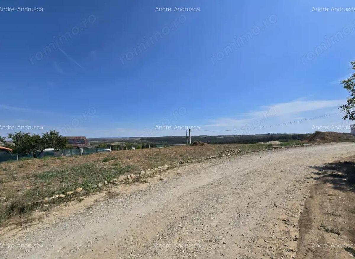 Teren Paleu Intravilan - 2