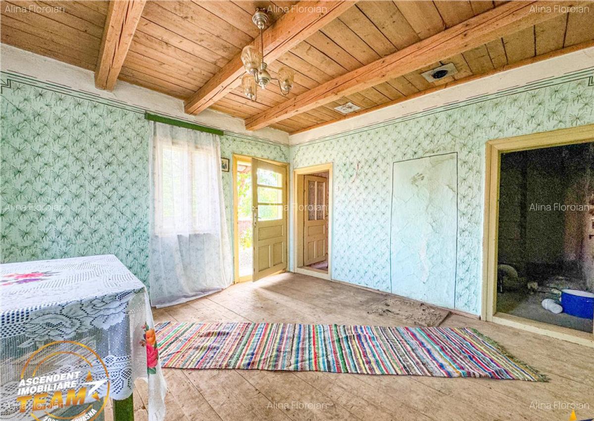FILM!Casa personalizabila anexe domeniu de peste 3.600mp,in - 17
