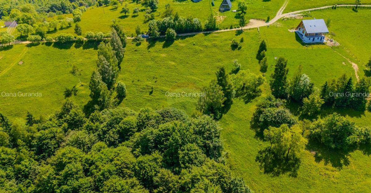 Teren extravilan 2,000mp Pestera / cabana vacanta/natura - 10