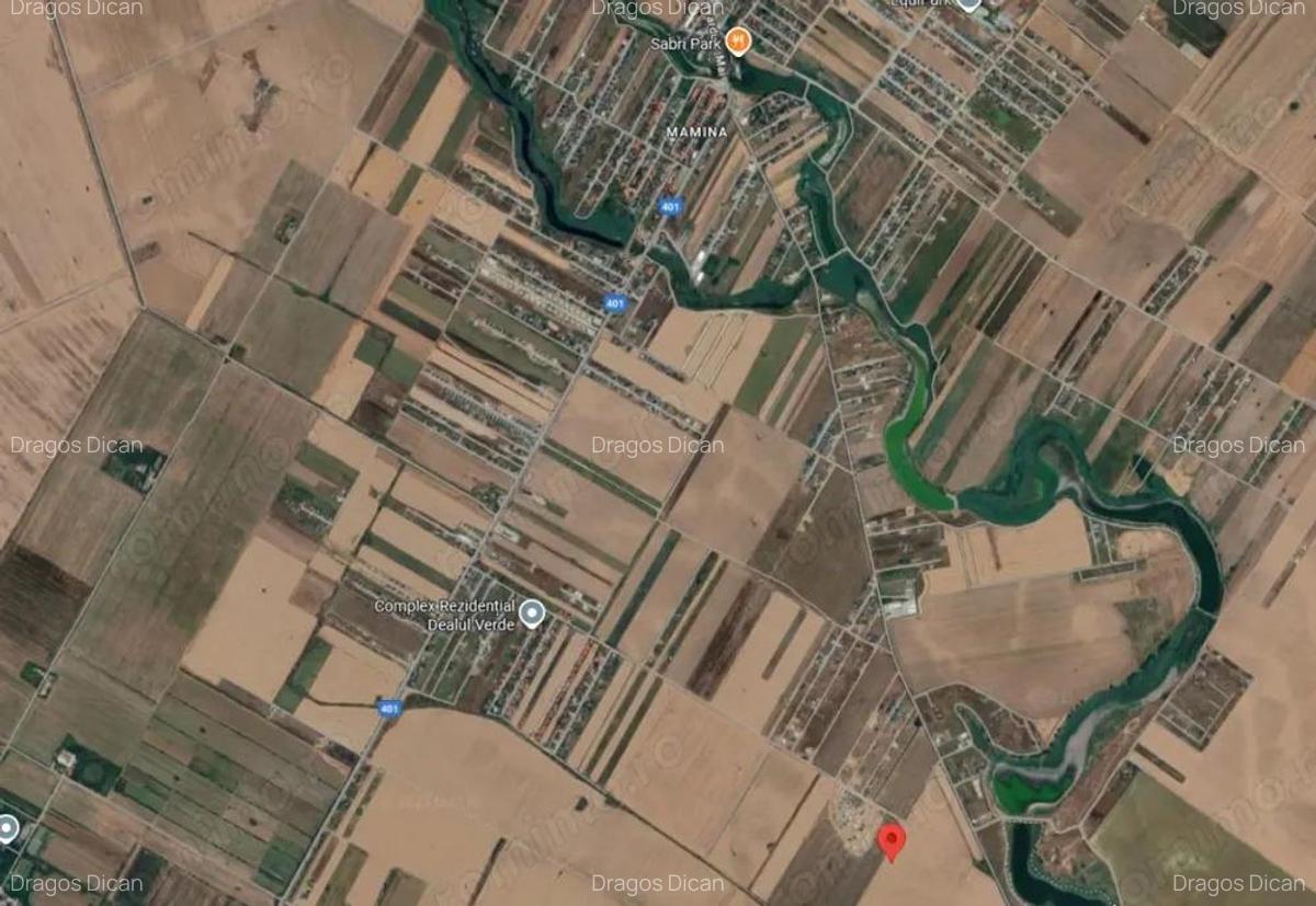 Teren in Rate Intravilan Berceni Manastire | curent gaz sosea | #LG10 - 5