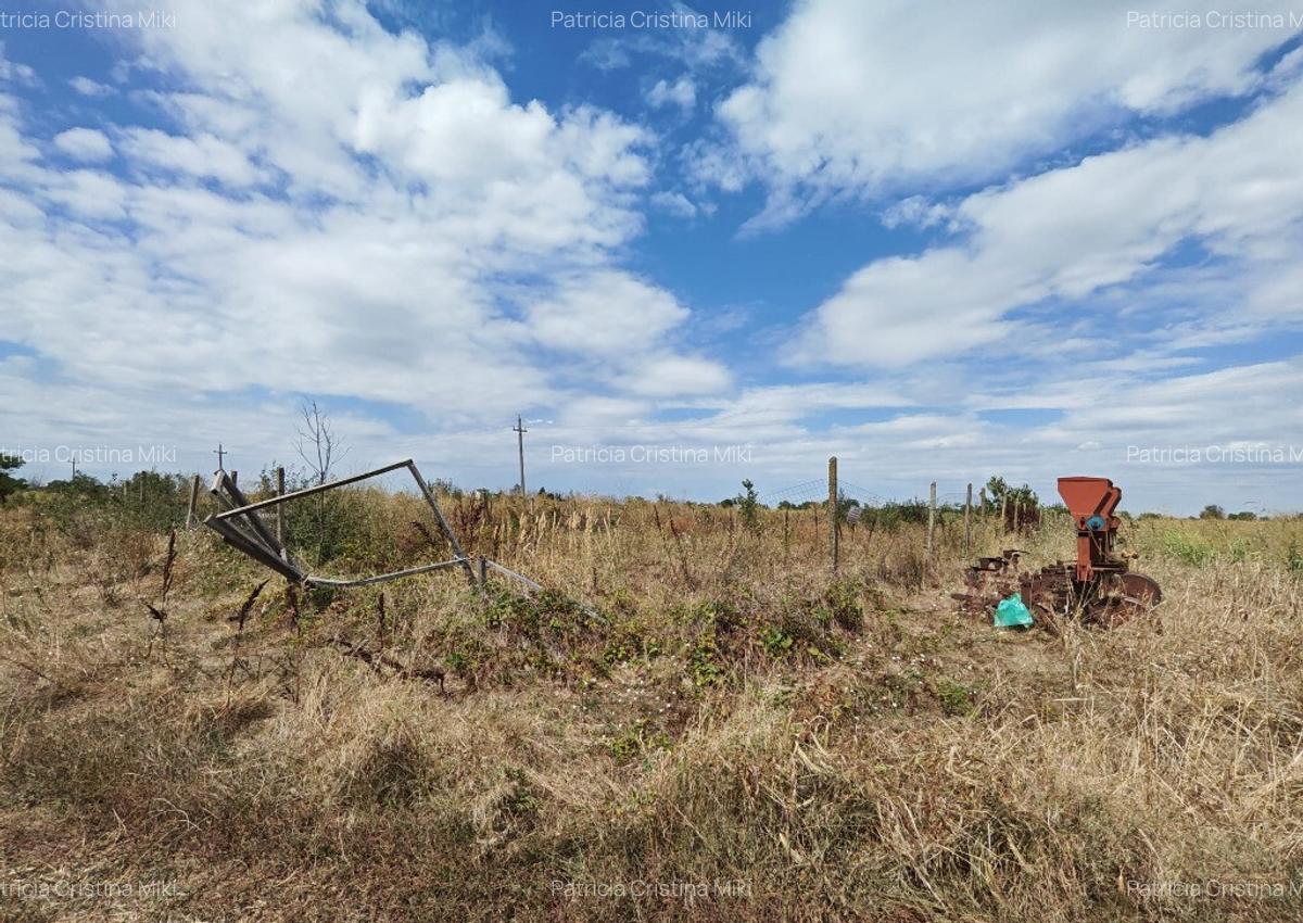 Teren intravilan Vidra Ilfov 3533mp - 2