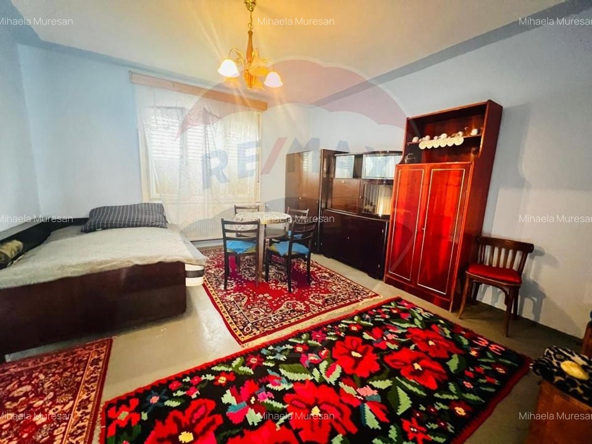 Casa 4 camere 1672 mp teren in Horia - 11