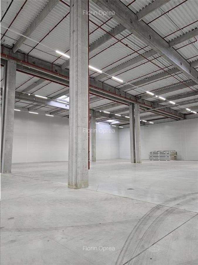 Spatiu Industrial - 4500 mp - Logistica - Productie - Depozitare - 1