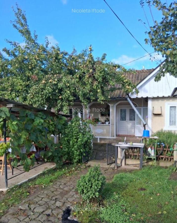 Casa si teren 2000mp Draguseni - 1