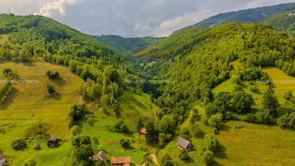 COMISION0% Teren de poveste in Moieciu de Jos parau, padure - 9