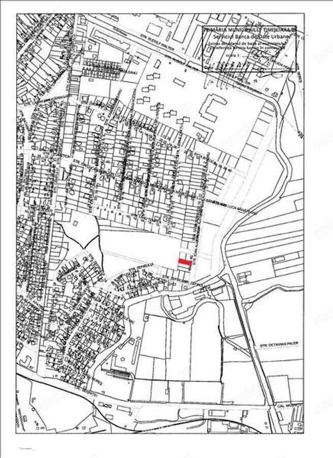 Teren de vanzare in Timisoara - 3