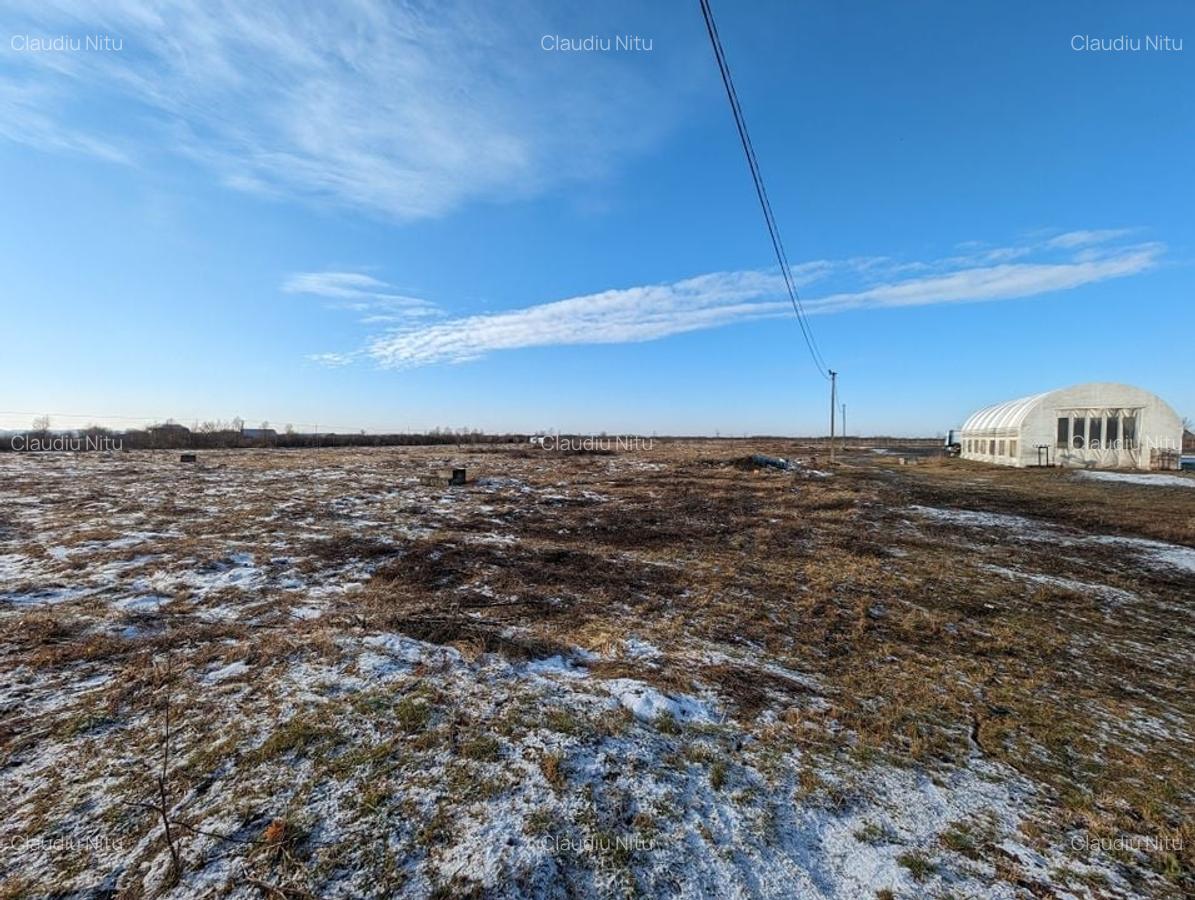 Hala cu teren generos langa acces A1 - 22