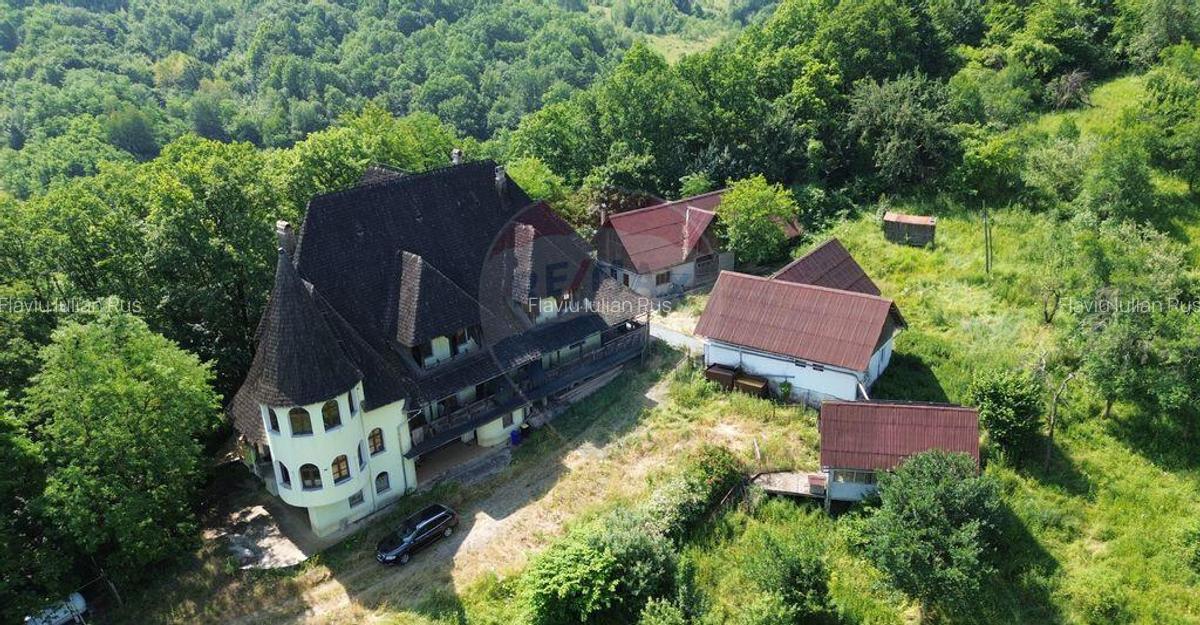 DE VANZARE CASTEL IN MARAMURES - 9