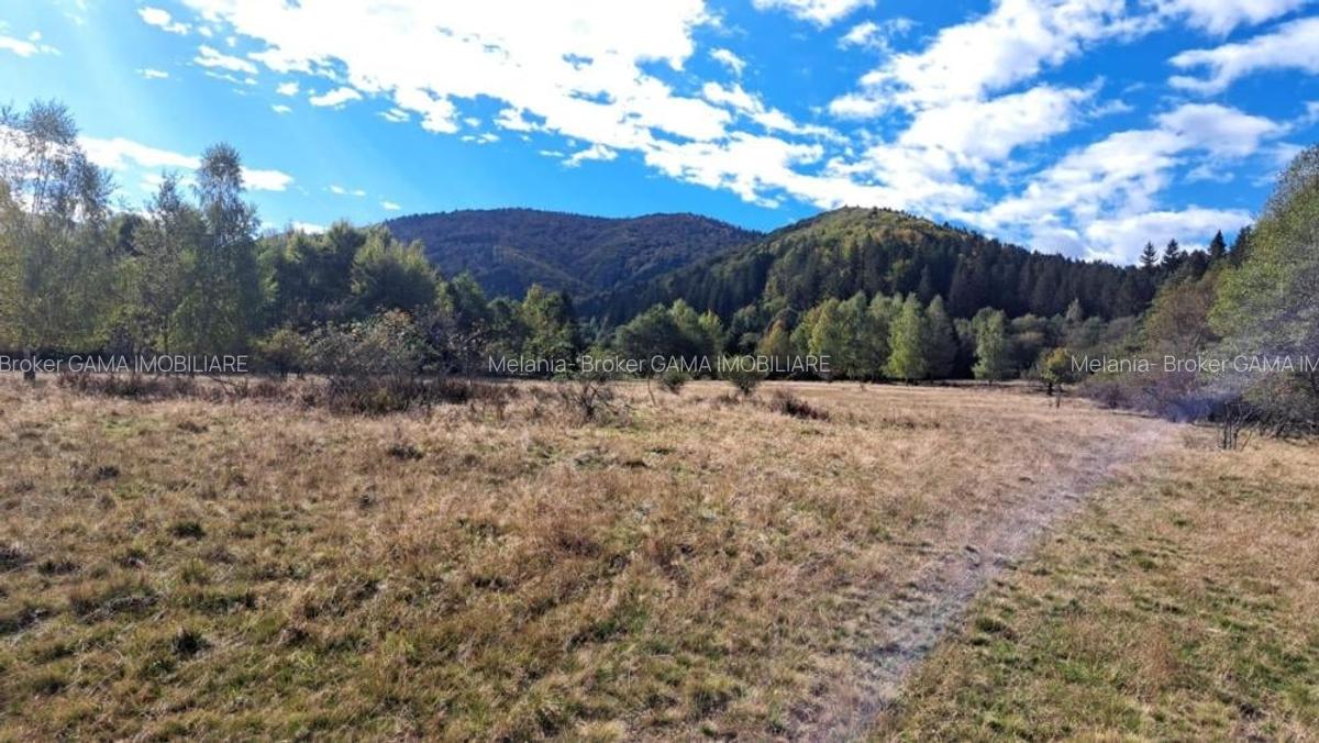 GM53438 Oportunitate investitie in Muntii Fagaras, teren 18000mp - 4