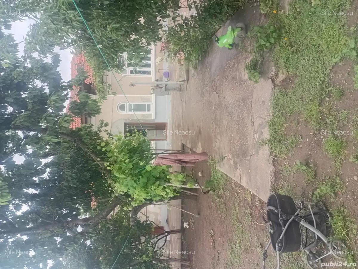 Casa de vanzare an tanganu cernica ilfov - 5