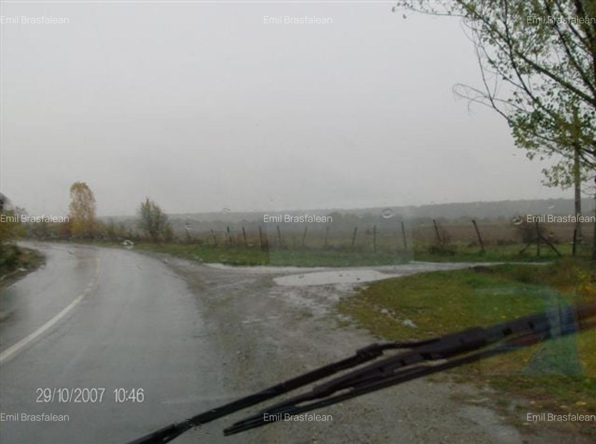 Teren de vanzare agricol si constructie hale cu posibila  legatura la curent - 2