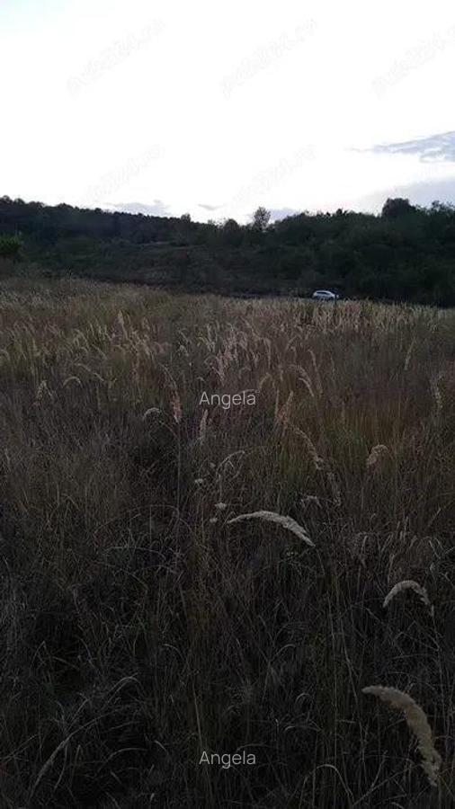 Vand terenuri intravilane, extravilane ?i paduri comuna Farta?e?ti, jude?ul Valcea - 2