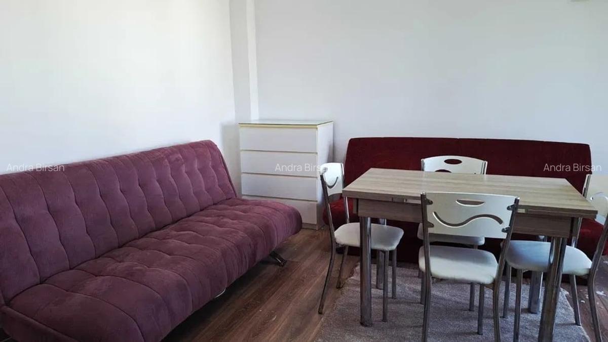 Inchiriere Apartament cu 2 Camere Cu Centrala Proprie Jiului - 2