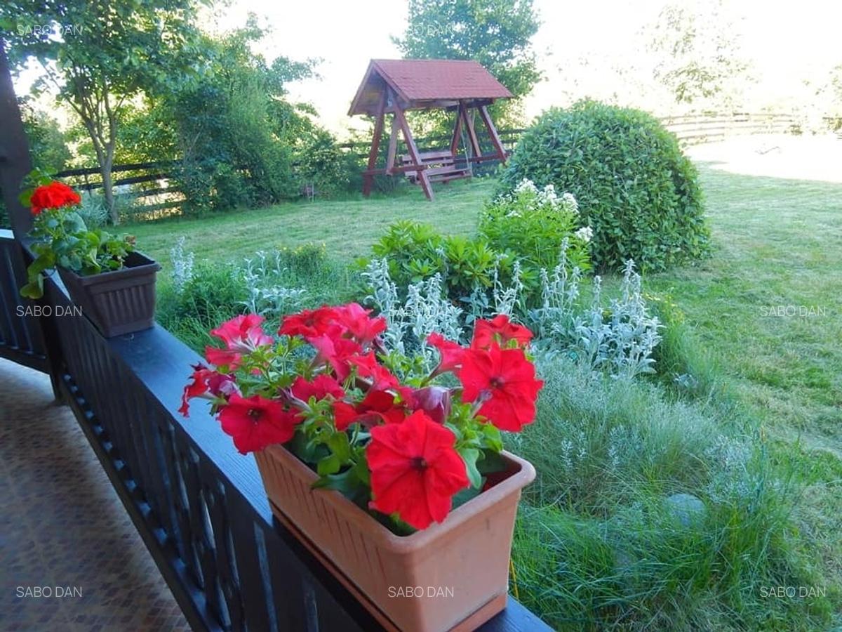 Pensiune-restaurant la cheie în Bran –  arhitectură montană și influențe austrie - 4