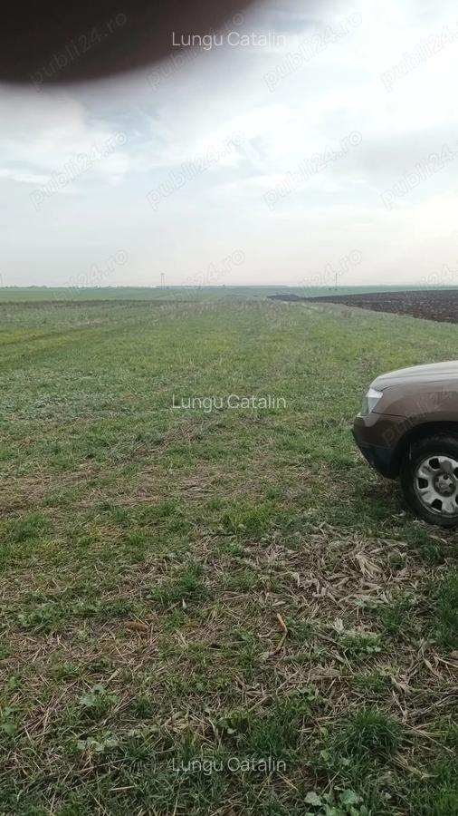 Inchiriez teren 30 ha pretabil pentru parc fotovoltaic - 3