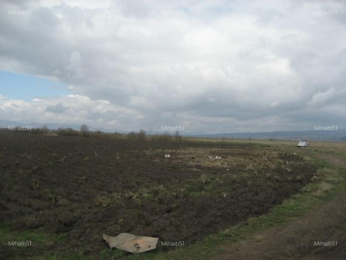 Teren agricol 5 ha, parcela compacta - 1